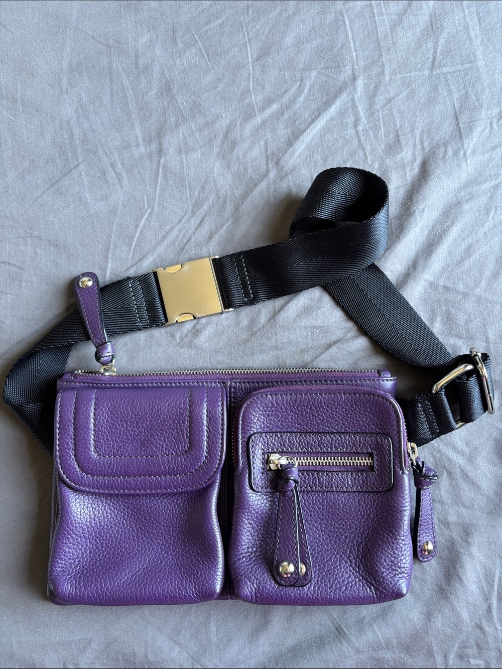 Danier Purple Leather Belt Bag